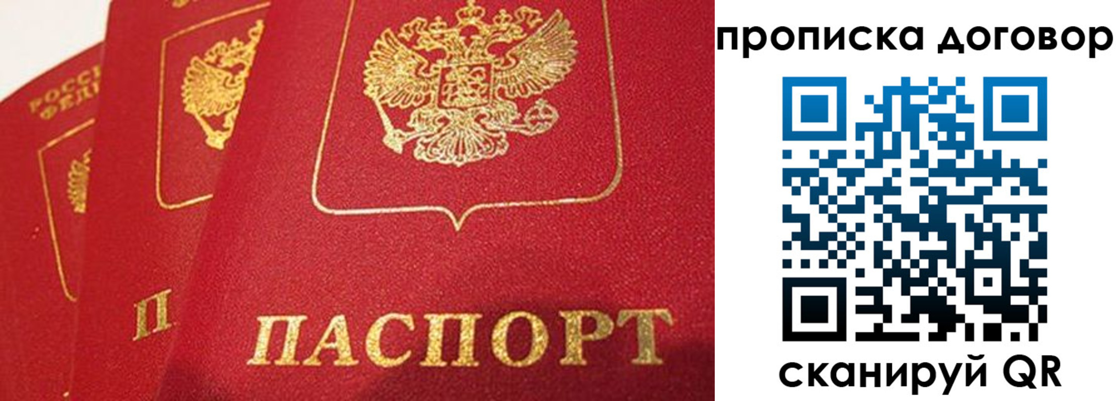 найти адрес прописки в Малой Вишере